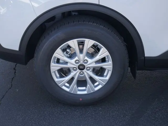 image-11