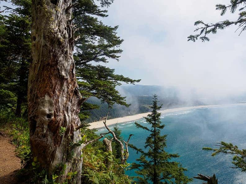 Cape Lookout