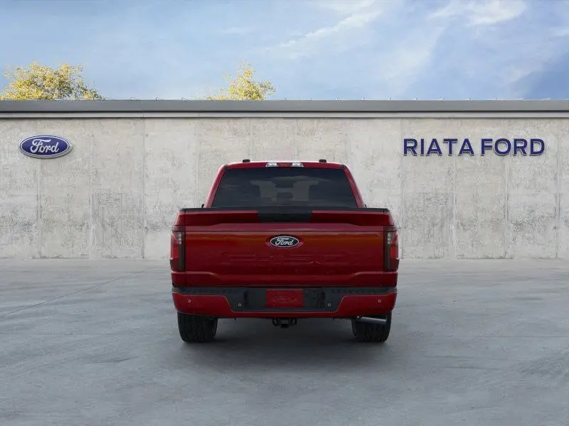 image-4