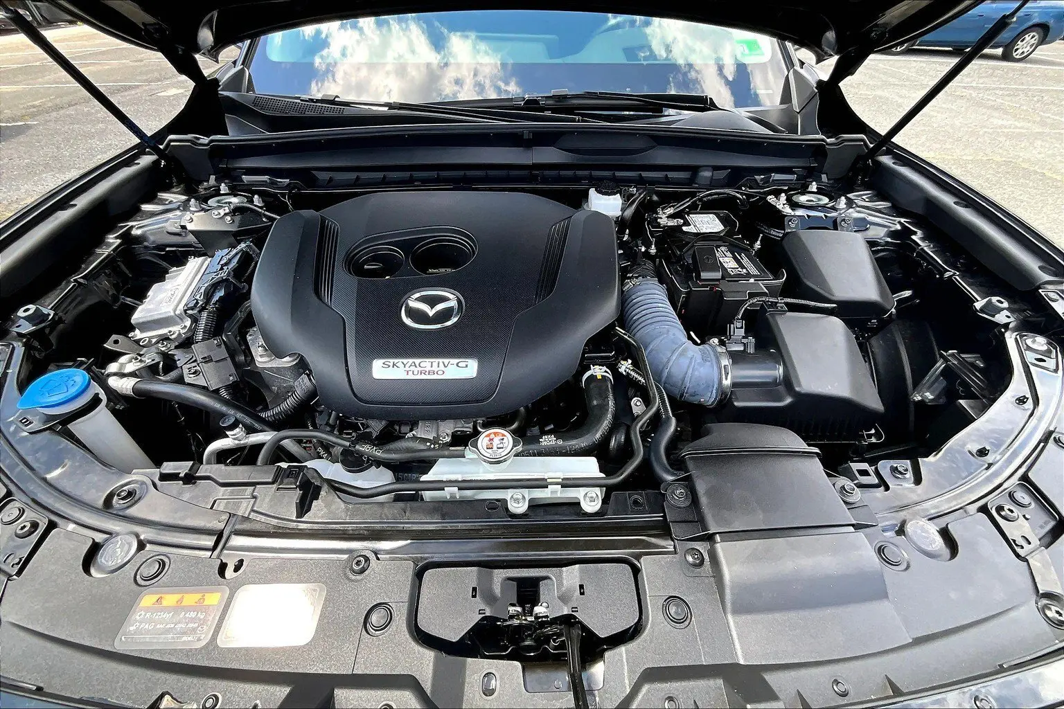 image-9