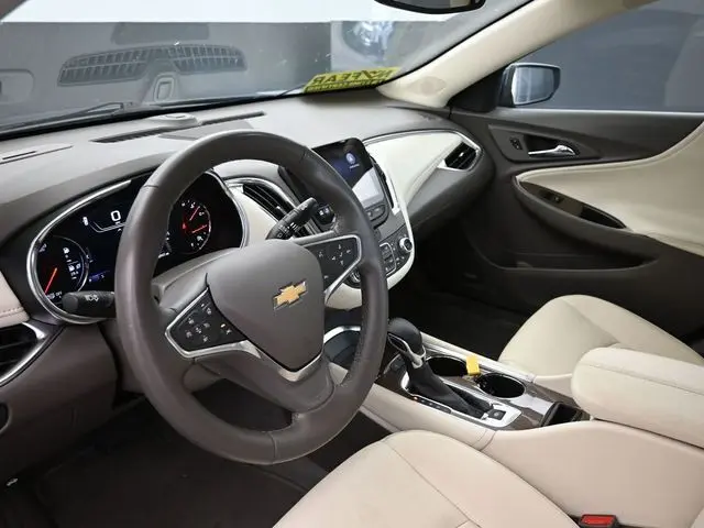 image-19