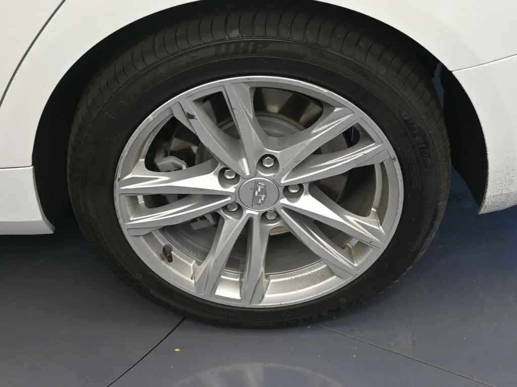 image-11