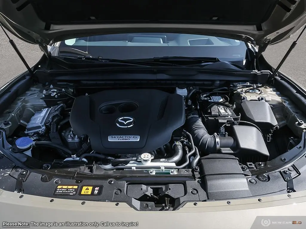 image-7