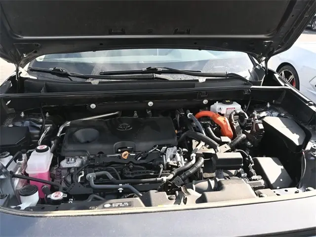 image-19