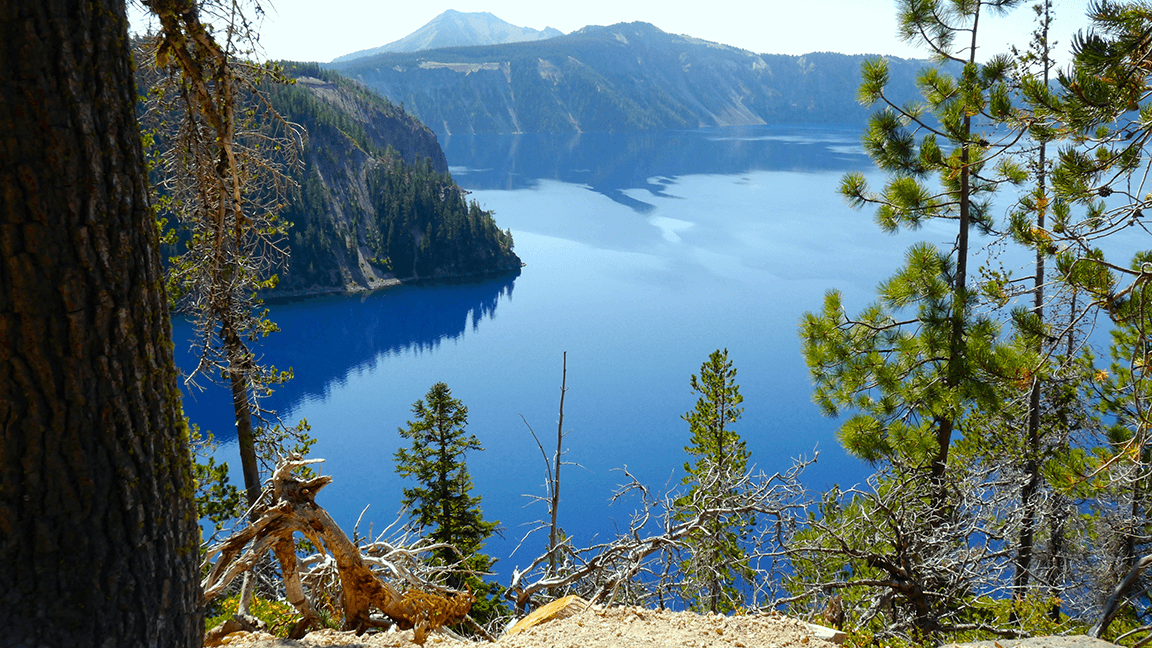 Deep blue mountain lake framed by pine trees