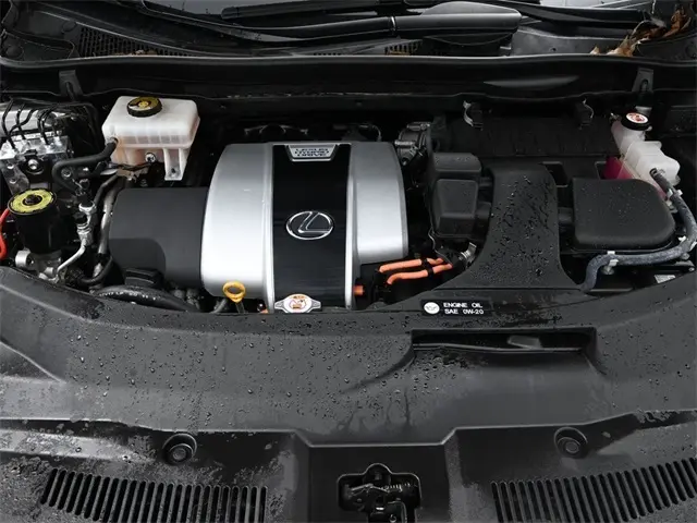 image-14