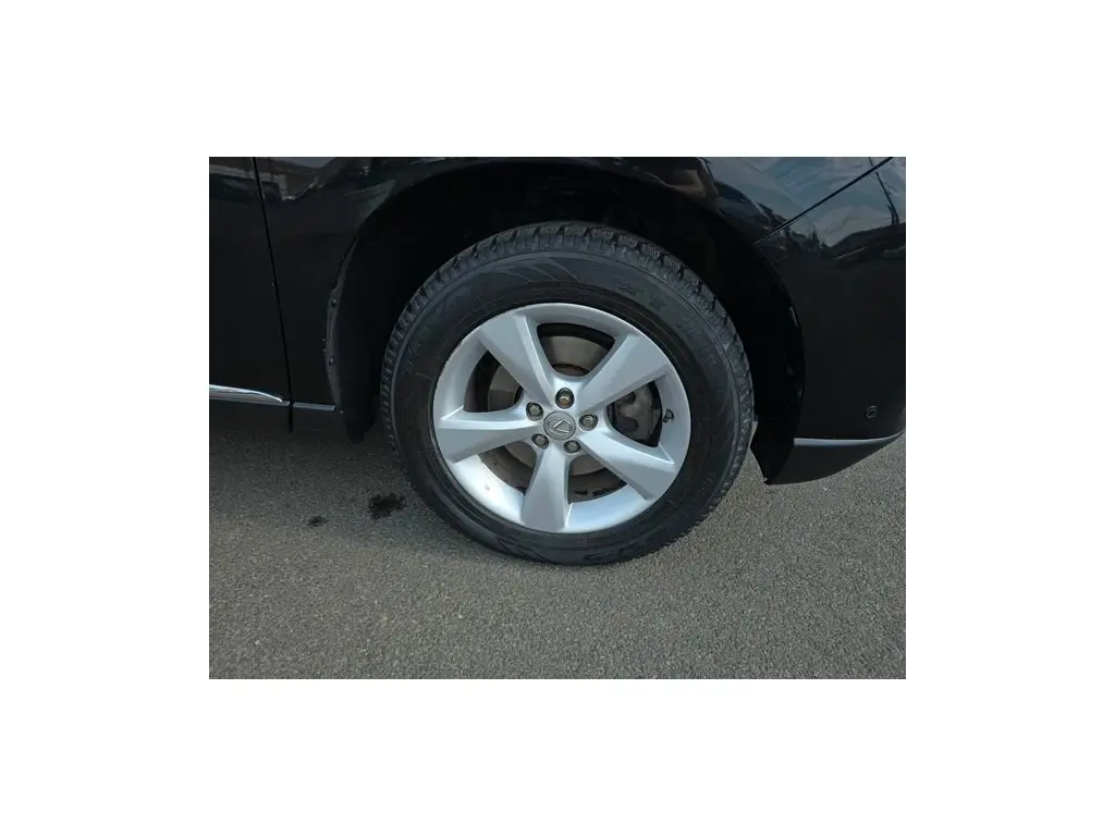 image-10
