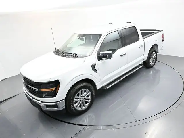 image-19