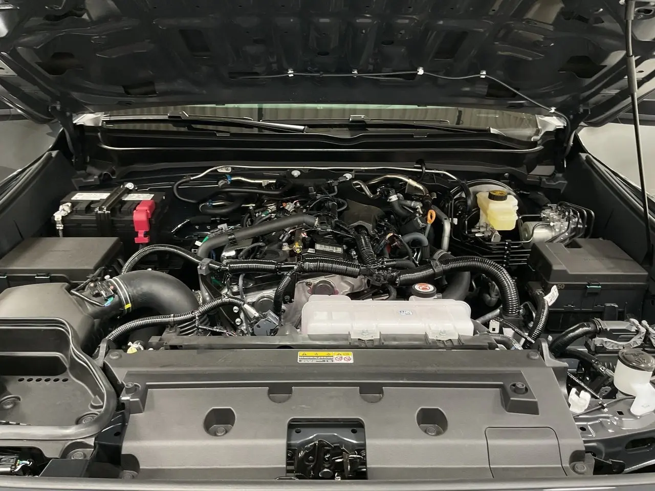 image-19