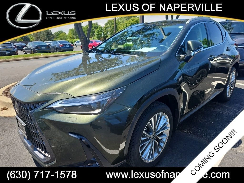 2025 Lexus NX 350 350 Luxury AWD's photo