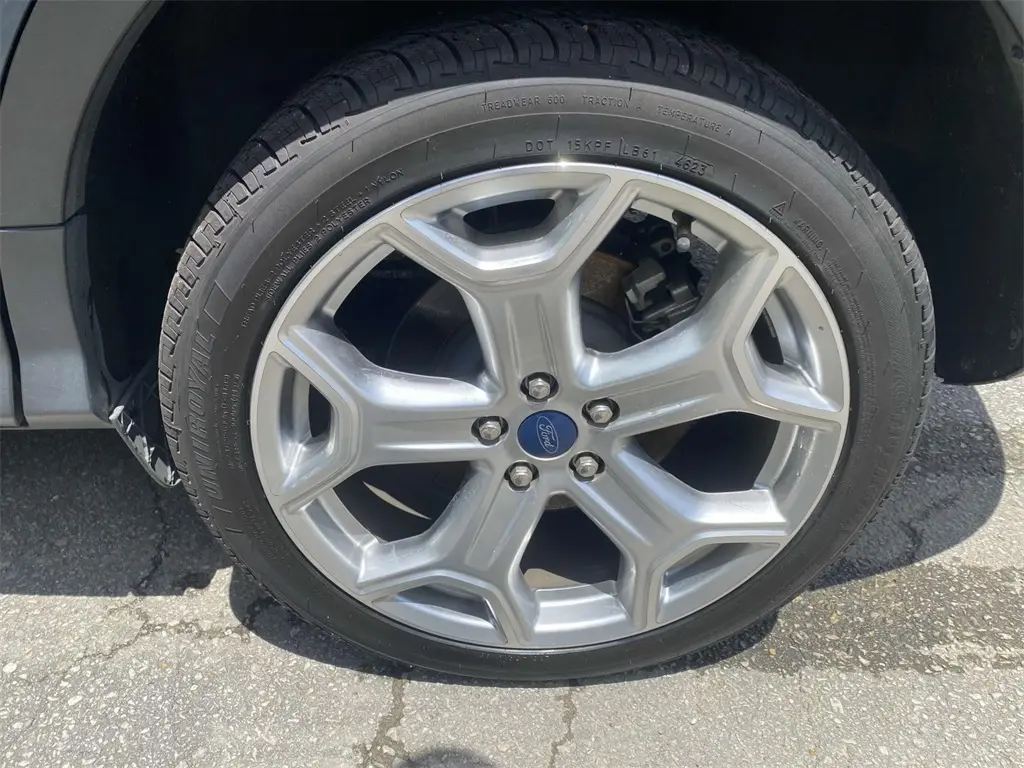 image-7