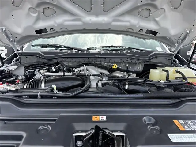 image-19