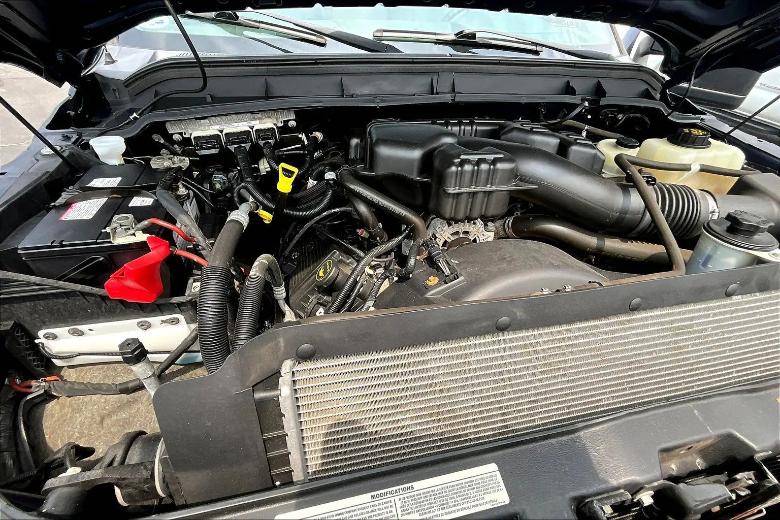 image-7