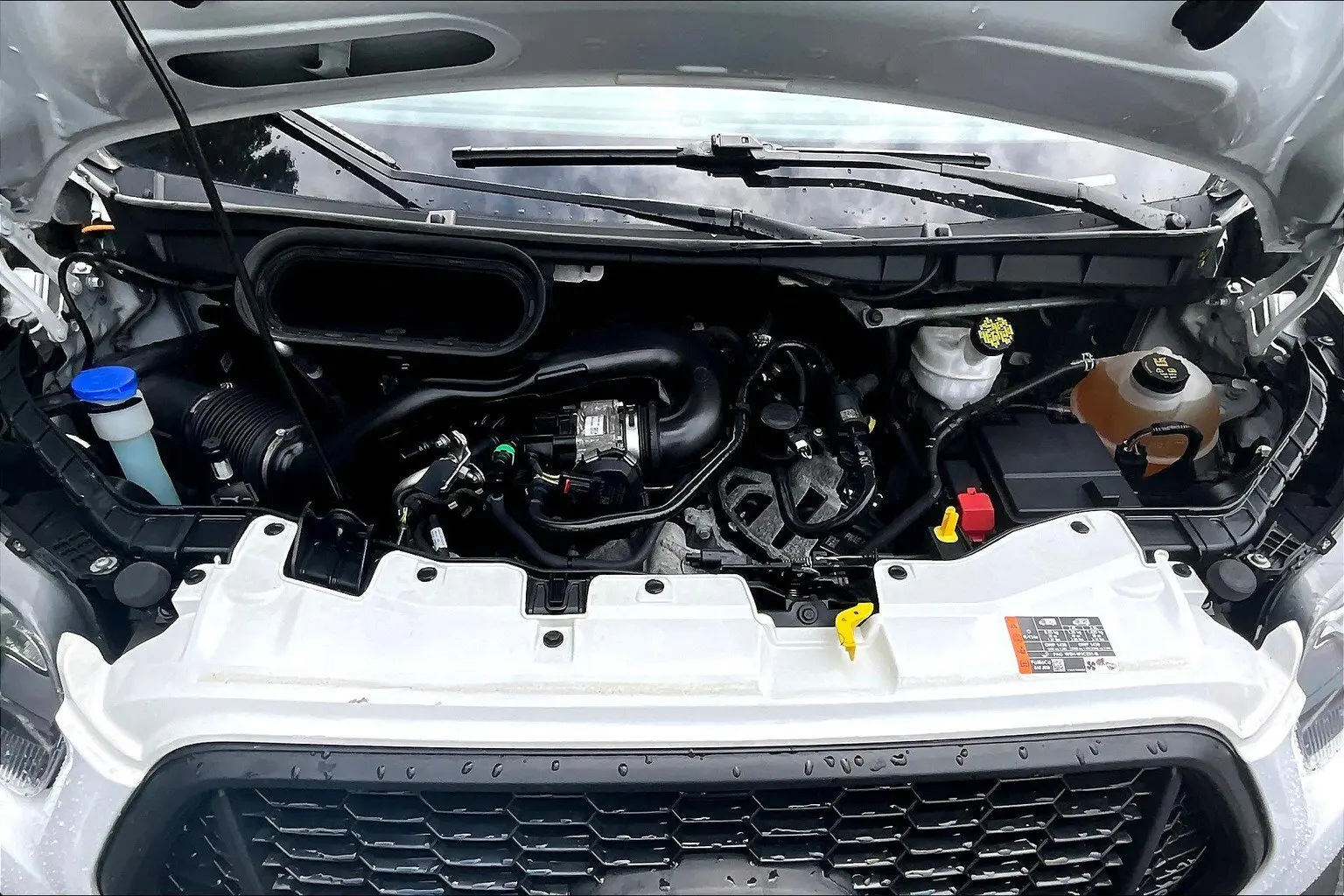 image-9