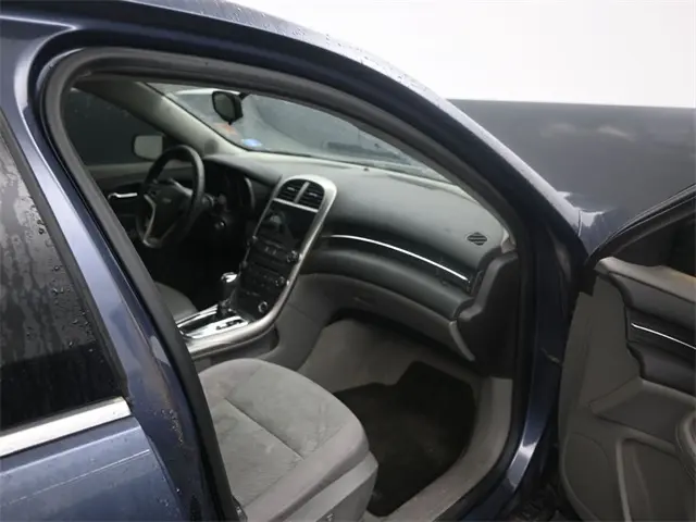 image-19