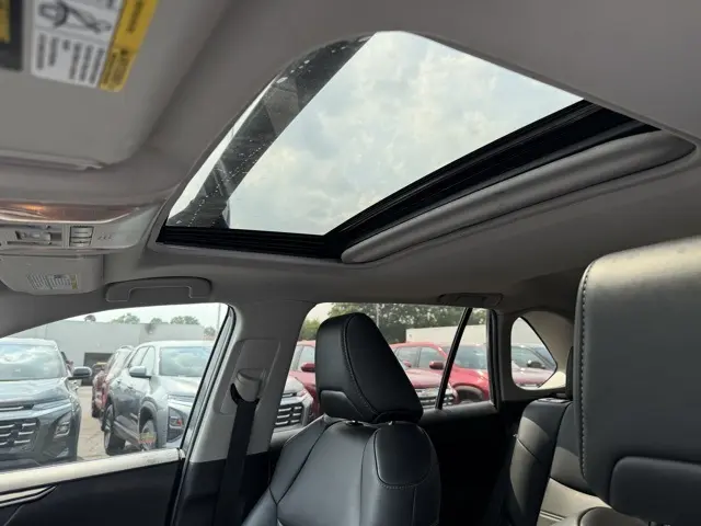 image-15