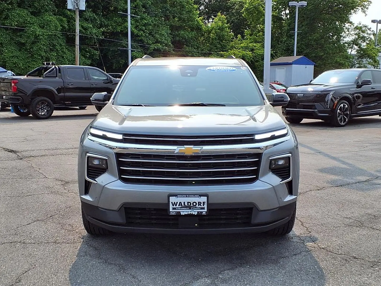 image-7