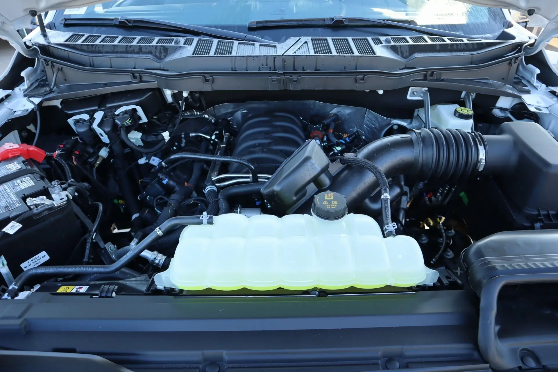 2025 Ford F-150 XLT photo 14