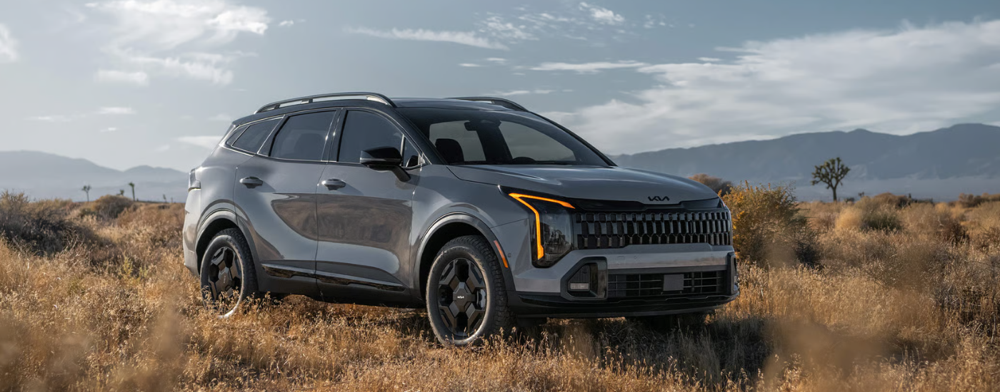 Grey 2026 Kia Sportage parked off-road in tall grass