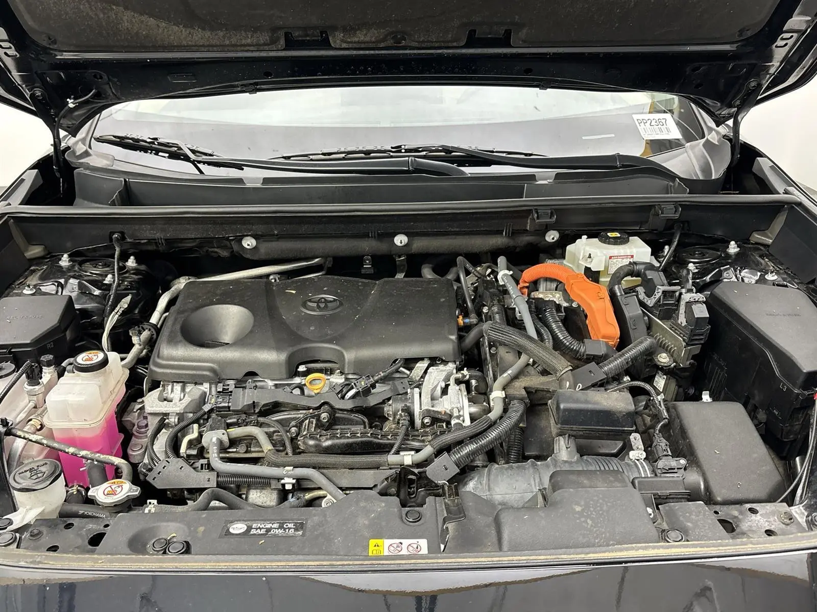 image-19