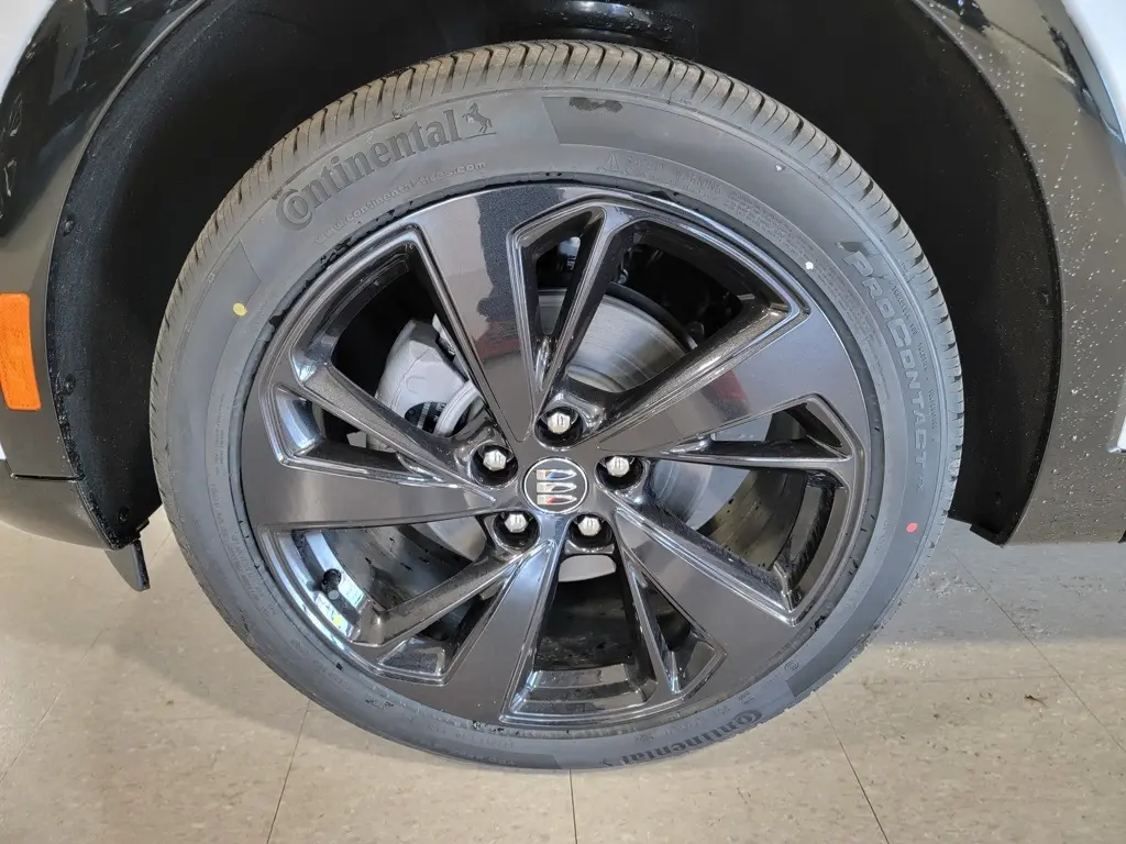 image-11