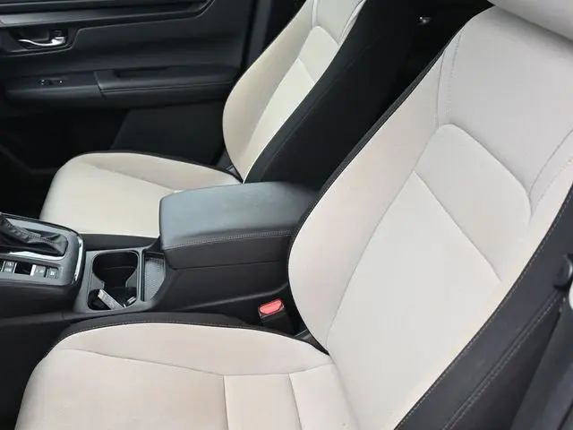 image-19