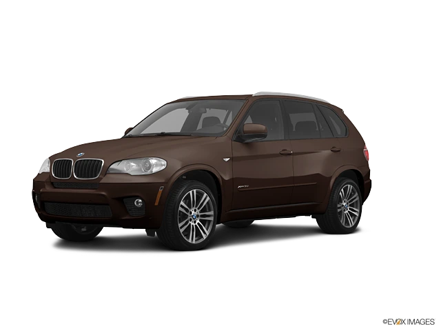 2013 BMW X5 xDrive35d's photo
