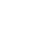 Lexus Tires