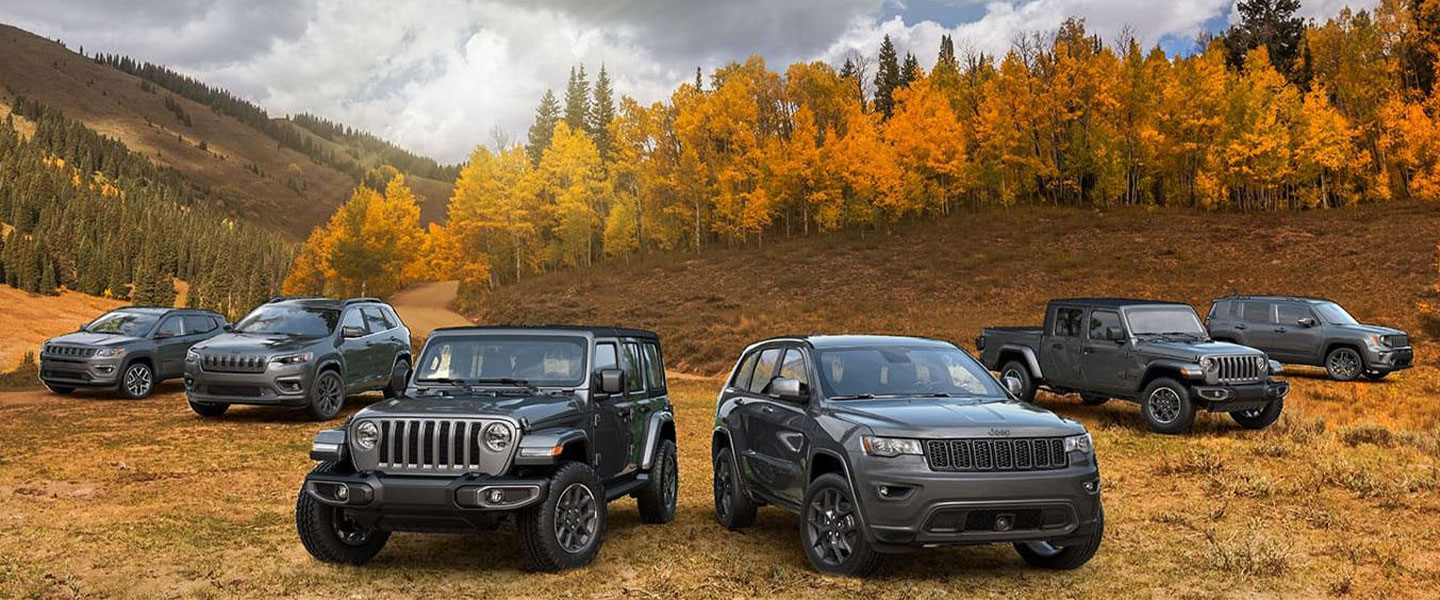 a lineup of jeep vehicles 