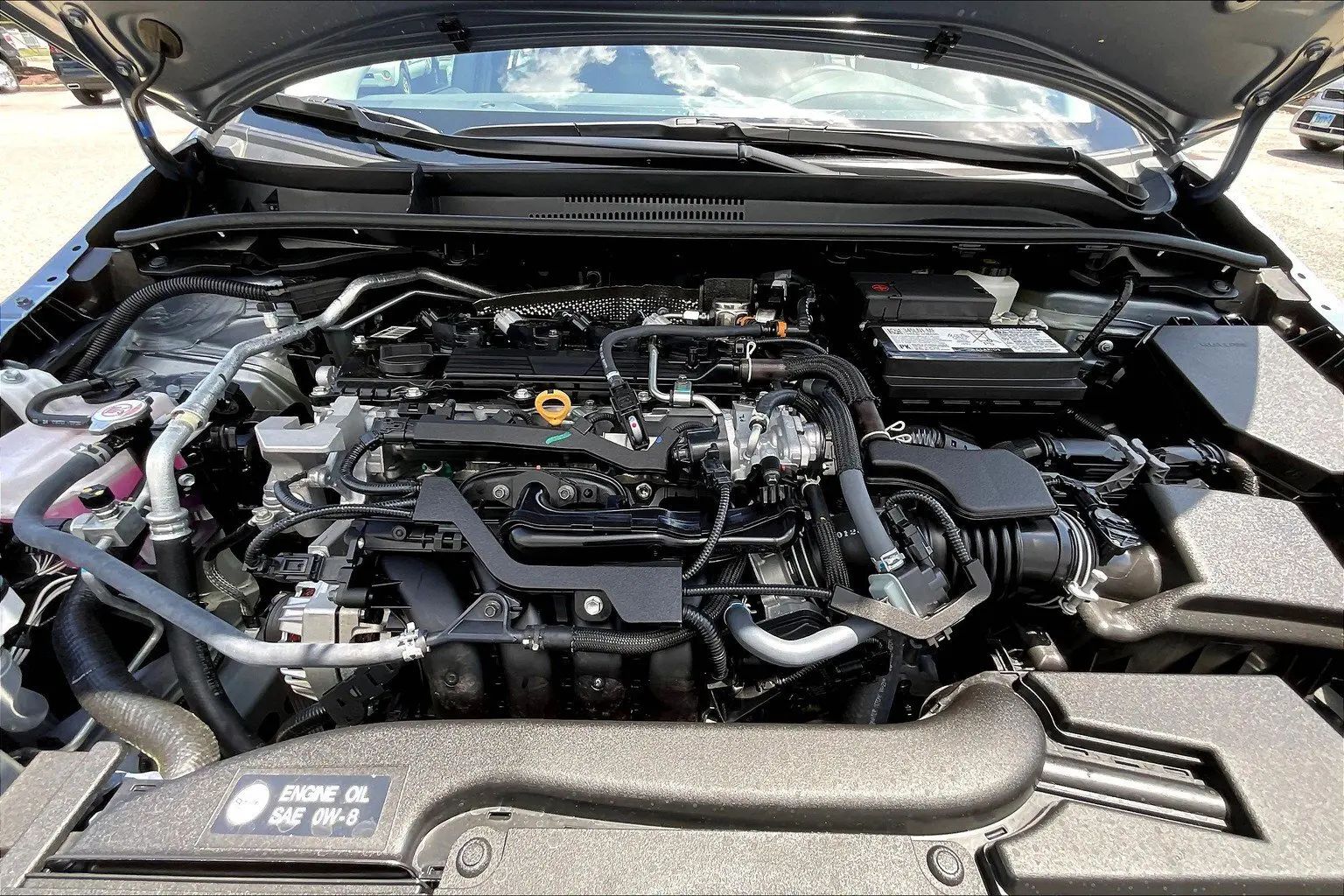 image-12