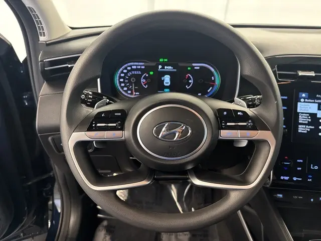 image-15