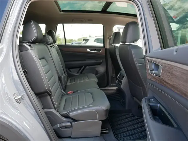 image-19