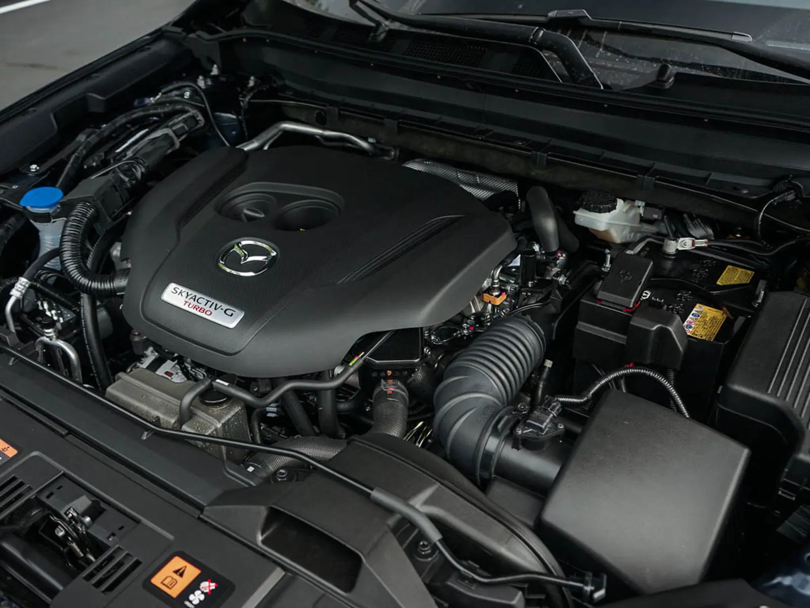 image-5