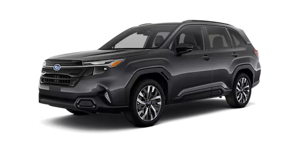 Magnetite Gray Metallic