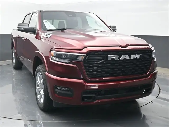 image-7