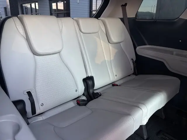 2025 Kia Carnival SX Prestige photo 17