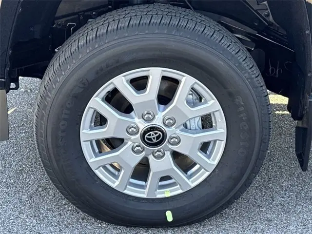 image-19
