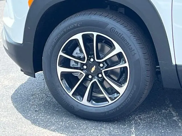 image-6