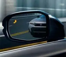 Blind Spot Information