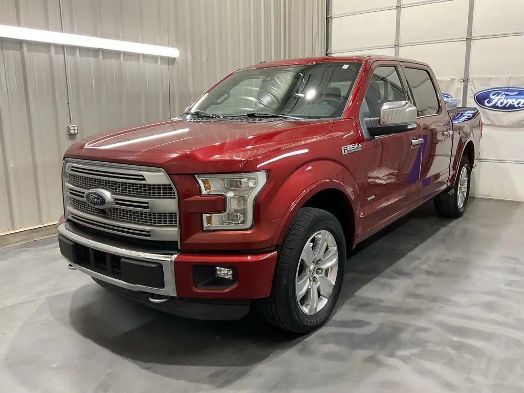 2015 Ford F-150 Platinum photo 3