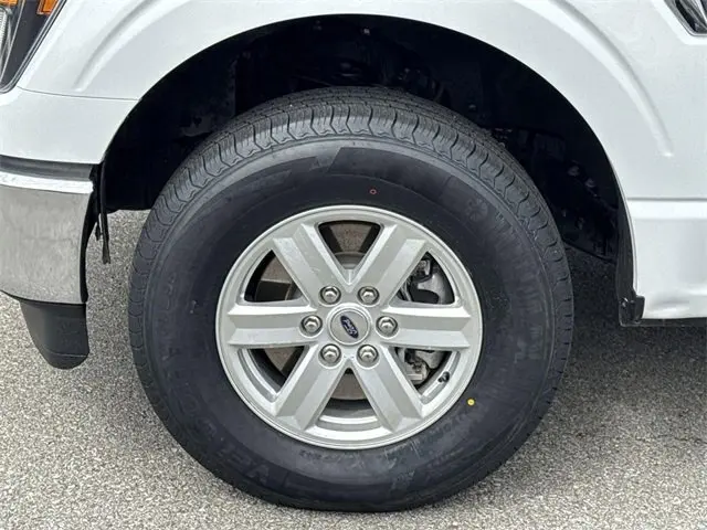 image-19