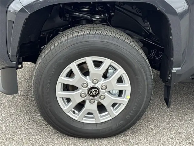 image-19