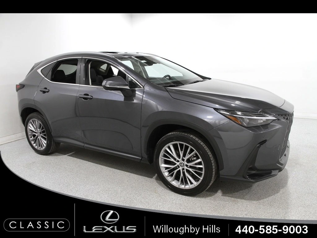 2025 Lexus NX Base's photo