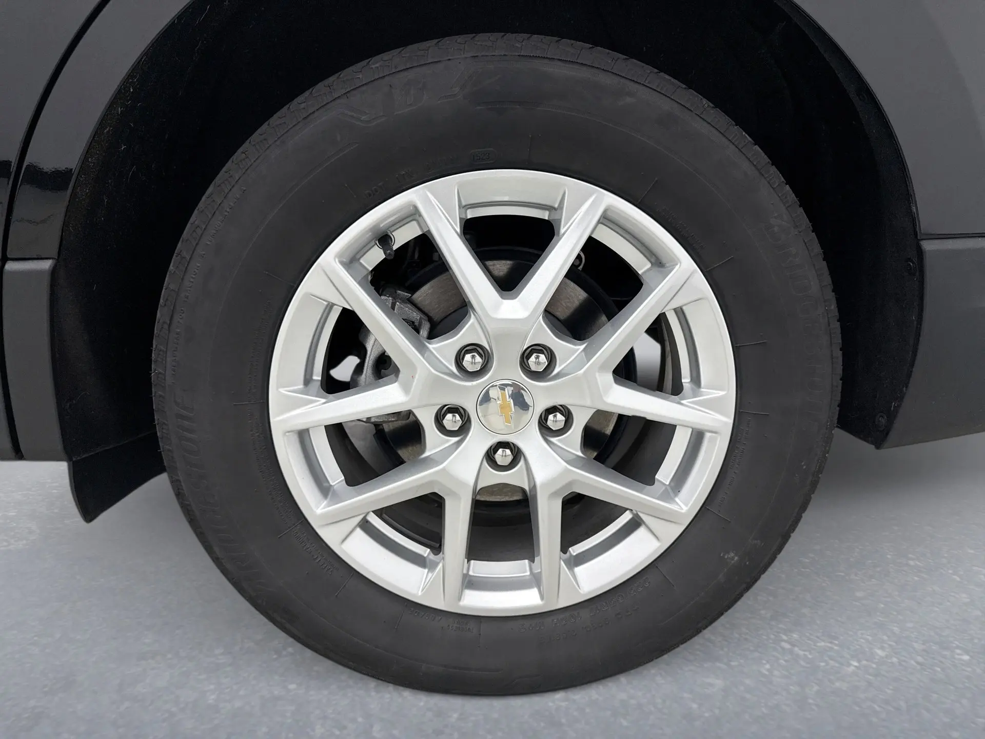 image-19