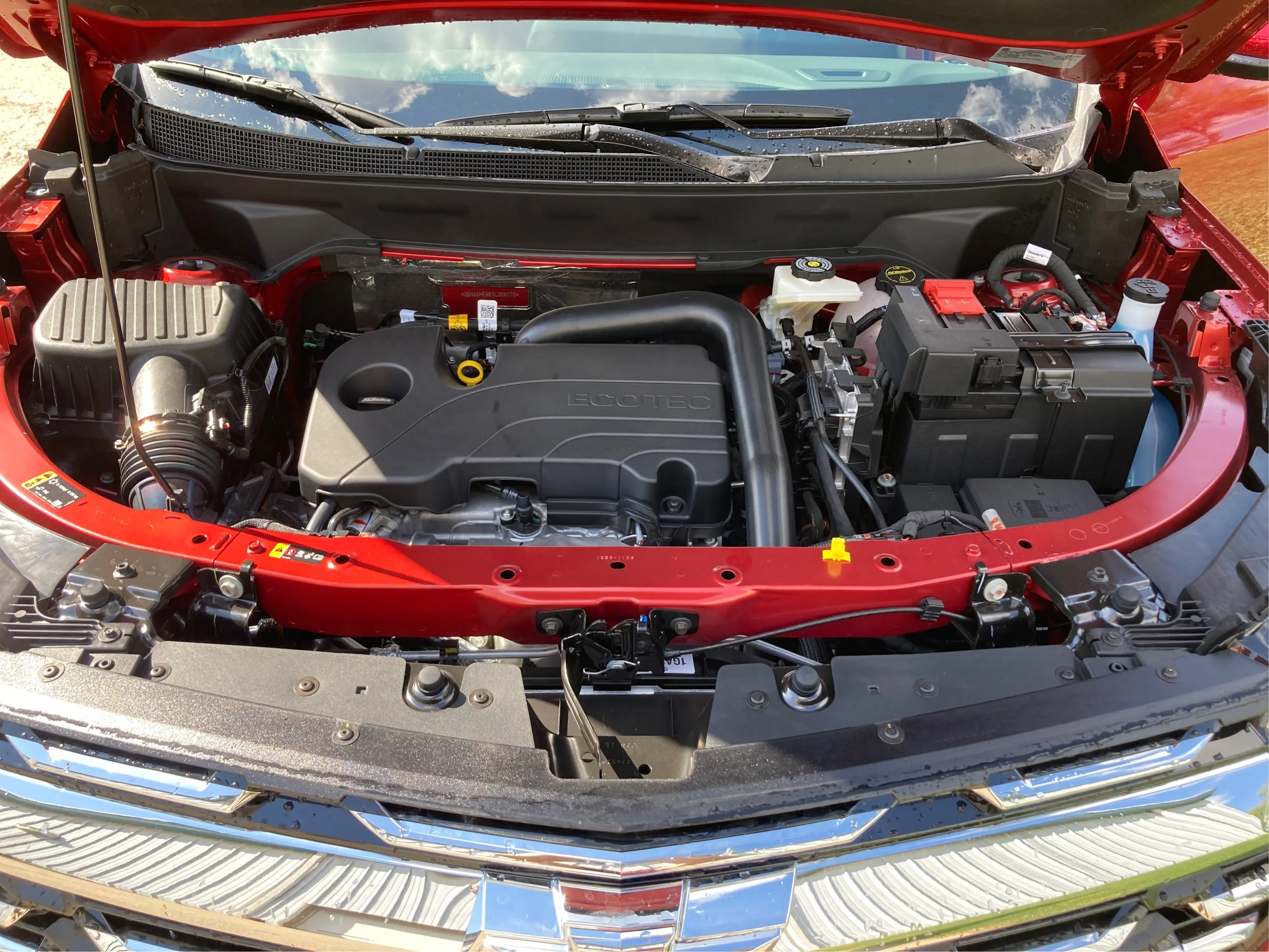 image-10