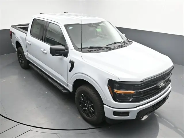 image-19