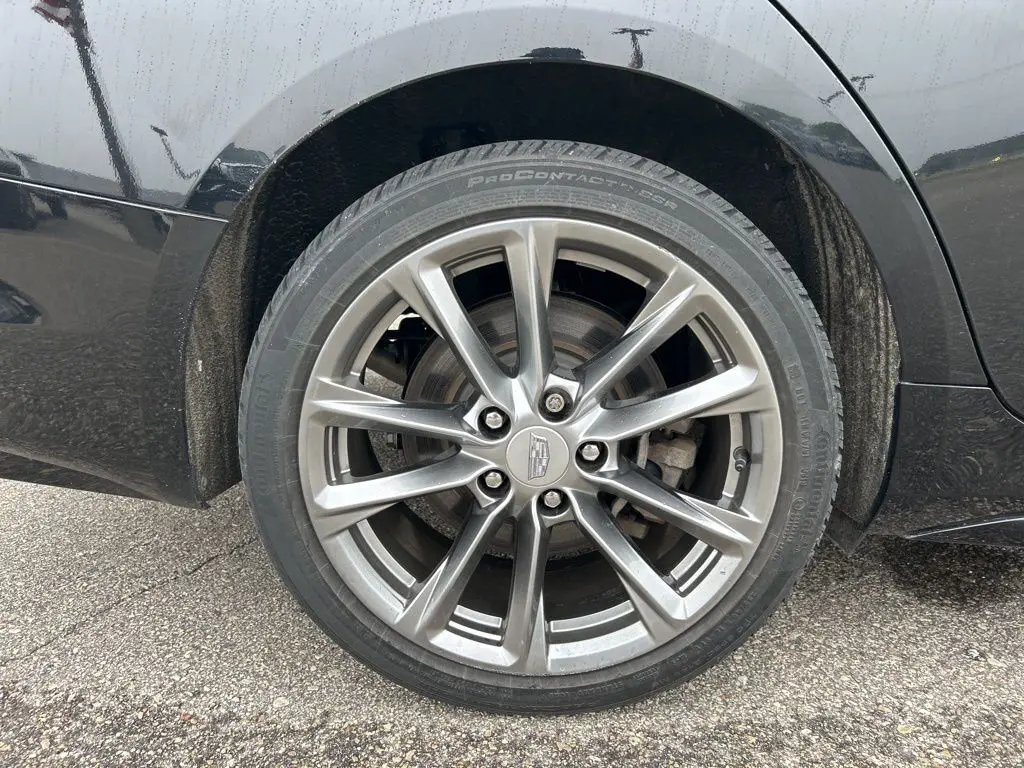 image-12