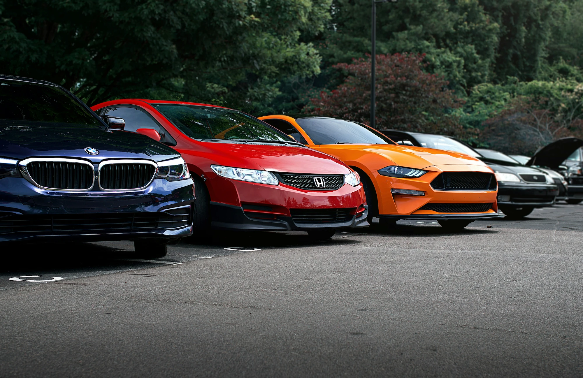 Civic, BMW, and Mustang Lineup