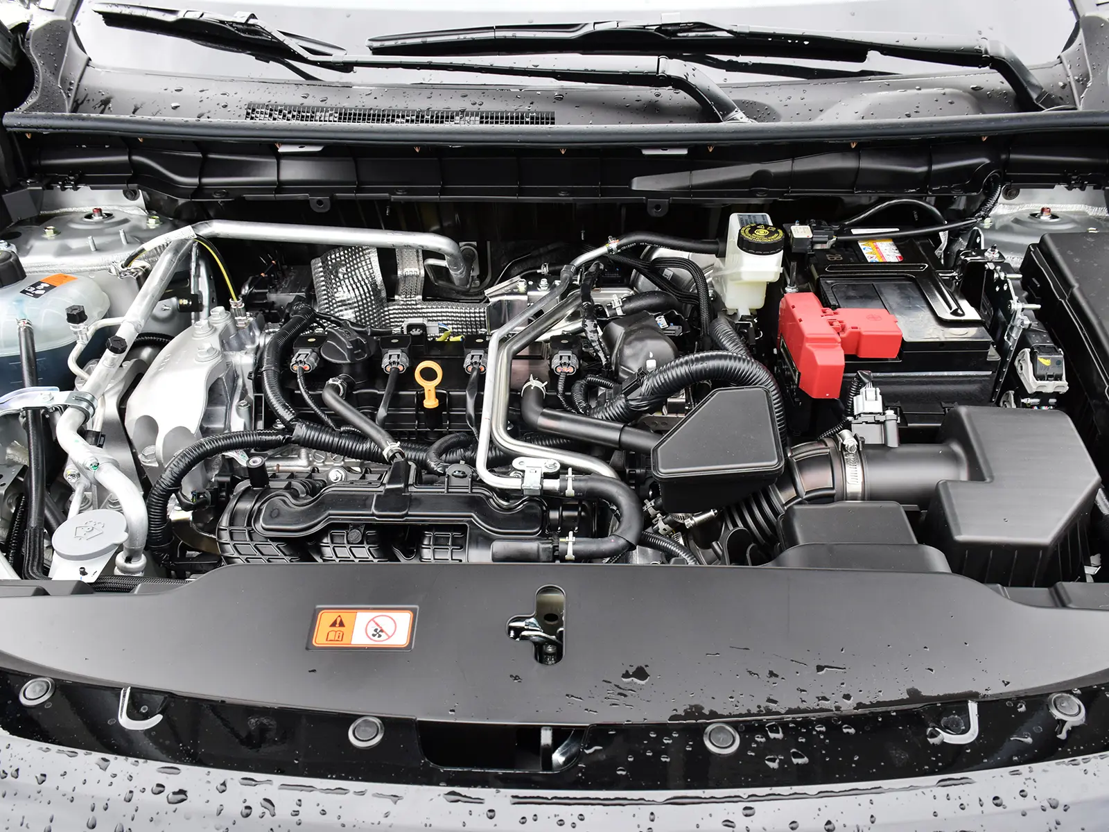 image-19
