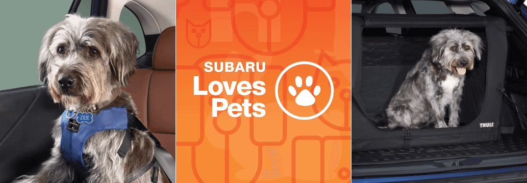 Blog Cover Image